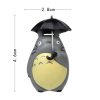 totoro-2